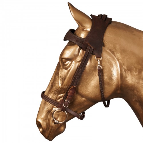 Simple ergonomic bridle