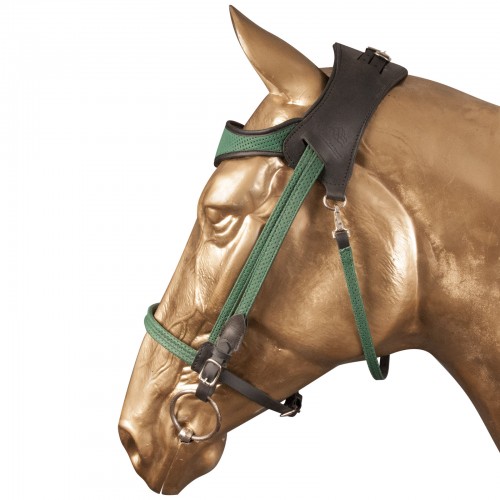 Simple ergonomic bridle