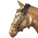 Simple ergonomic bridle