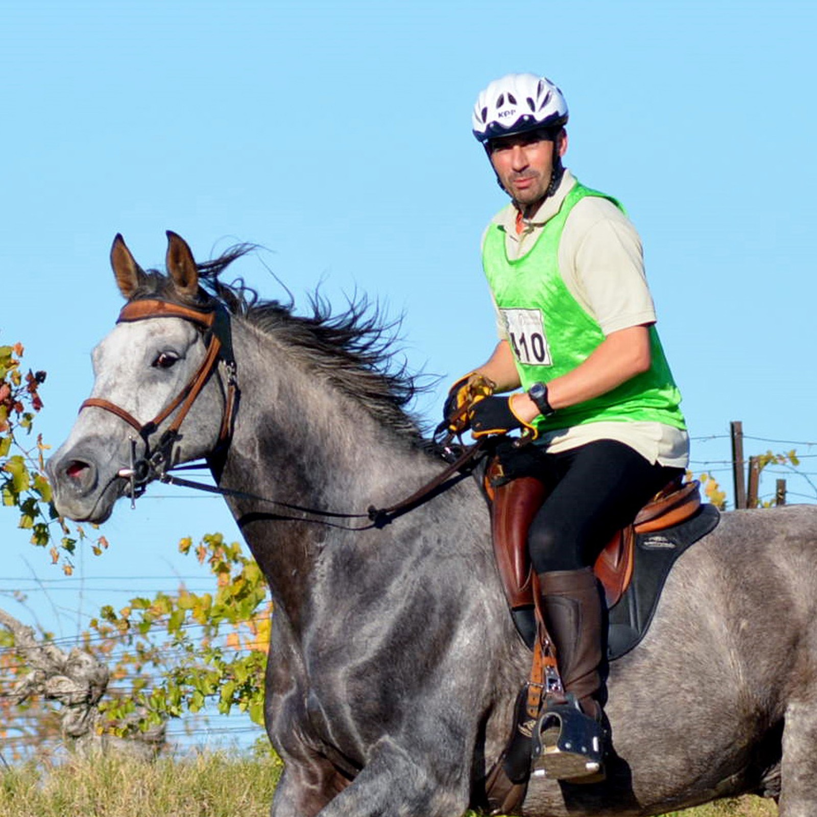 Bridon simple ergonomique pour l'équitation  - Sellerie Gaston Mercier
