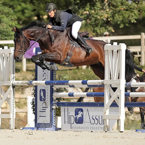 Selle D13, selle de sport, adaptée au CSO et au CCE - Sellerie Gaston Mercier