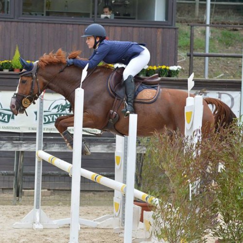 Selle D13, selle de sport, adaptée au CSO et au CCE - Sellerie Gaston Mercier