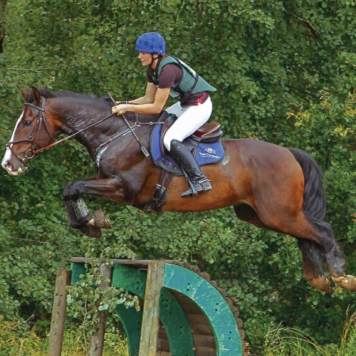 Selle D13, selle de sport, adaptée au CSO et au CCE - Sellerie Gaston Mercier