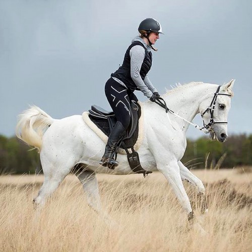 La Doline II est une selle adaptée au dressage  - Sellerie Gaston Mercier