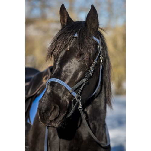Simple ergonomic bridle