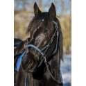Simple ergonomic bridle