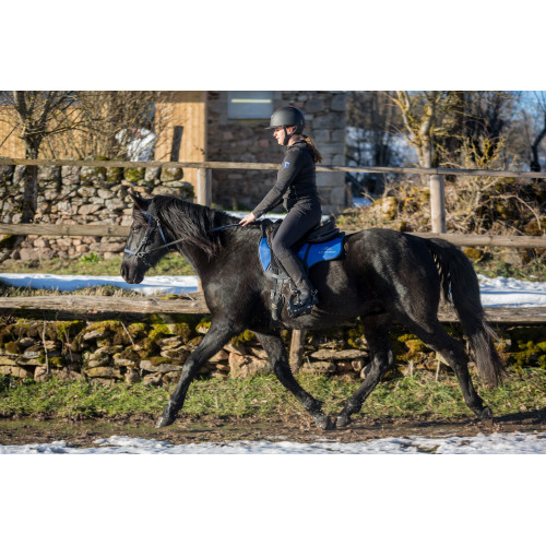 Simple ergonomic bridle