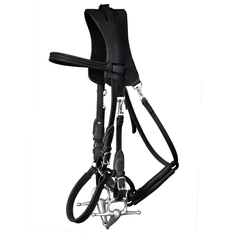 Ergonomic Halter bridle