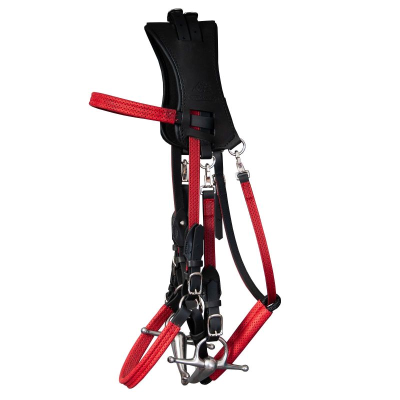 Ergonomic Halter bridle