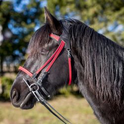 Simple Ergonomic Bridle