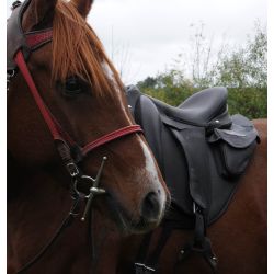 Ready2Go Ergonomic Saddle Pad