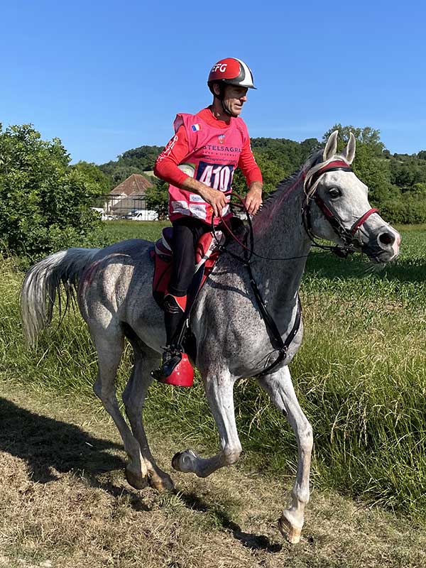 Henry-David Guedj - Gaston Mercier