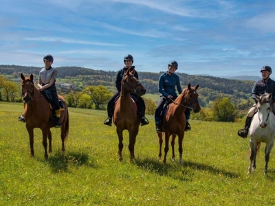 Ligne de Vêtements Gaston Mercier by Horse Pilot