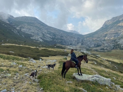 Portrait : Diana Saliceti, Chanteuse, Journaliste et Cavalière Corse