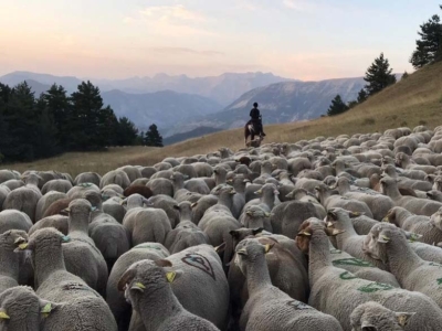 Portrait : Nanouk la bergère à cheval