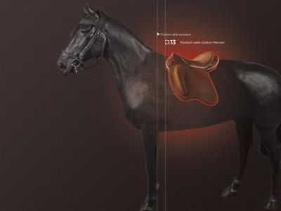Comment positionner votre selle Gaston Mercier