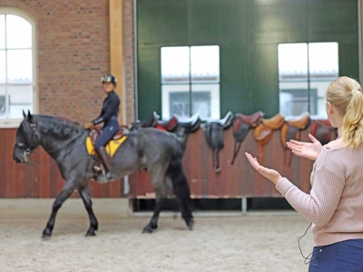 Comment essayer une selle Gaston Mercier