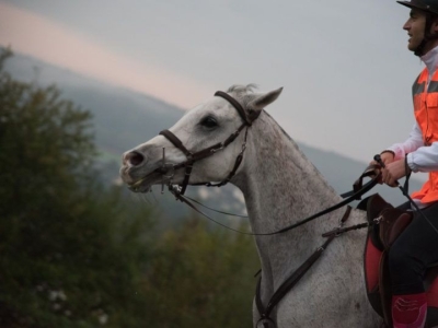 Brandon Guedj a brillamment relevé le défi du Raid d’Artagnan…