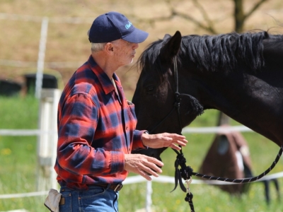 Formation d'Éthologie avec Thierry Lhermitte et essais de selles Gaston Mercier au Domaine de Gaillac