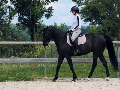 Présentation de la nouvelle selle Doline III